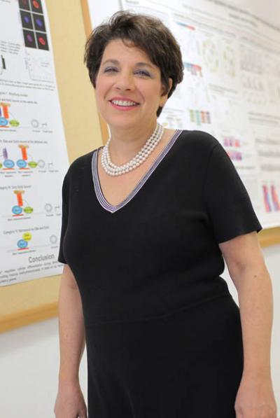 Cory T. Abate-Shen, PhD Profile Headshot